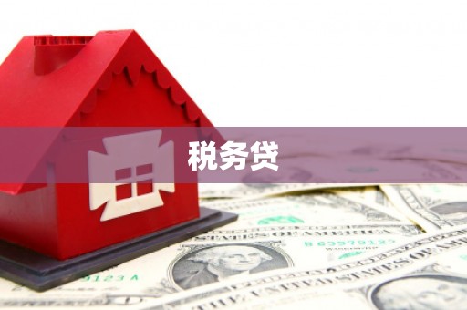 光山税务贷