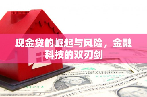 光山现金贷的崛起与风险，金融科技的双刃剑