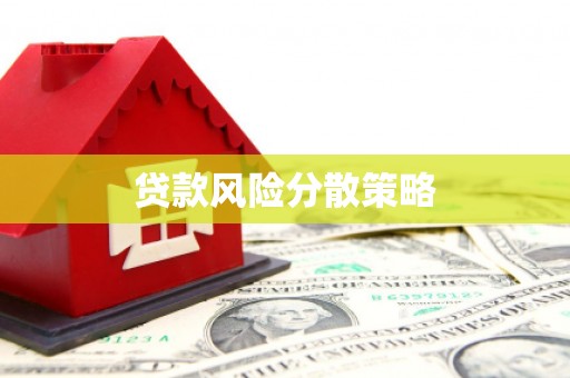 光山贷款风险分散策略