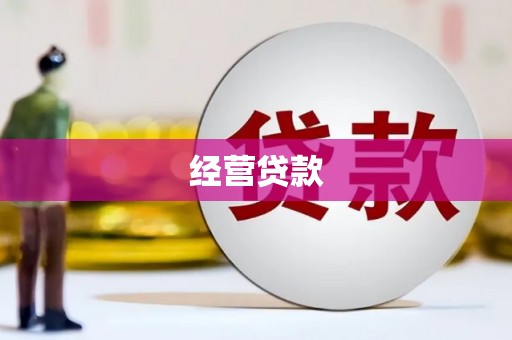 光山经营贷款