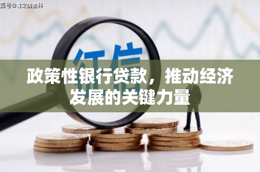 光山政策性银行贷款，推动经济发展的关键力量