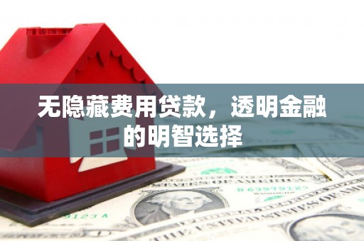 光山无隐藏费用贷款，透明金融的明智选择