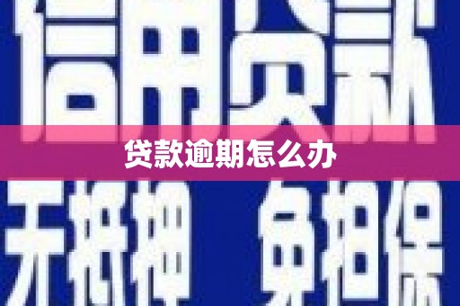 光山贷款逾期怎么办
