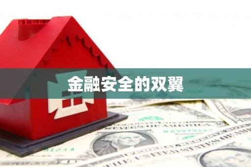 光山金融安全的双翼