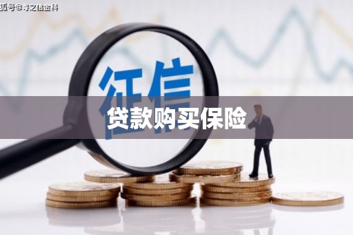 光山贷款购买保险