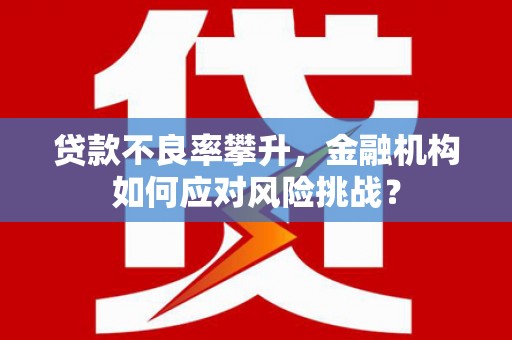 光山贷款不良率攀升，金融机构如何应对风险挑战？