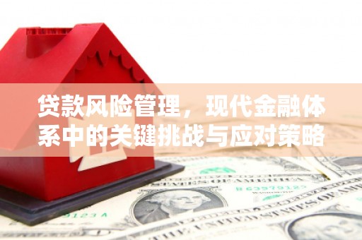 光山贷款风险管理，现代金融体系中的关键挑战与应对策略