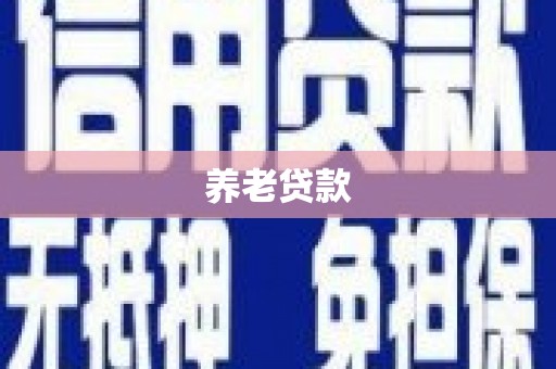 光山养老贷款
