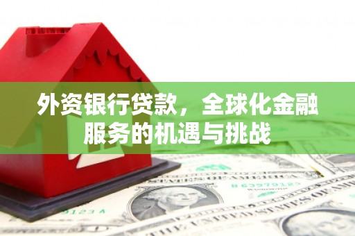 光山外资银行贷款，全球化金融服务的机遇与挑战
