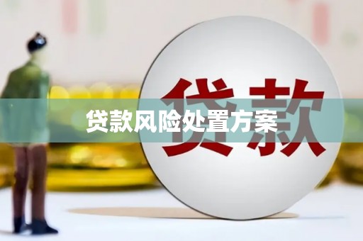 光山贷款风险处置方案