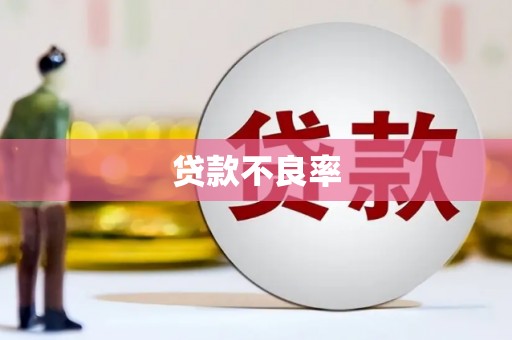 光山贷款不良率