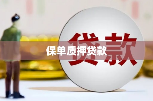 光山保单质押贷款