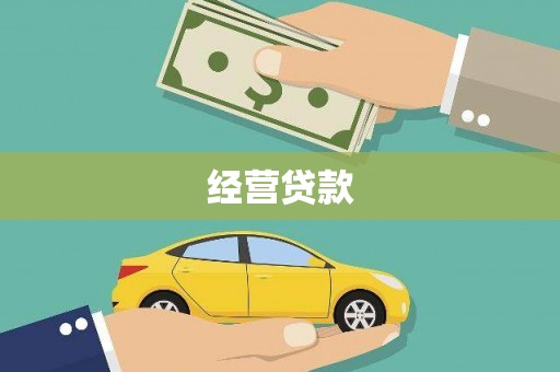 光山经营贷款