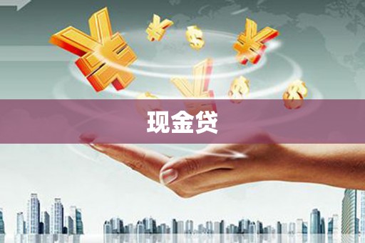 光山现金贷