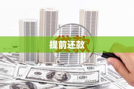 光山提前还款