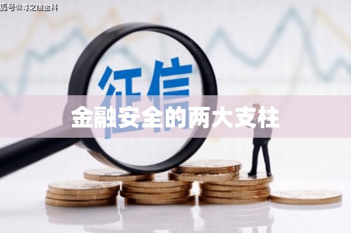 光山金融安全的两大支柱